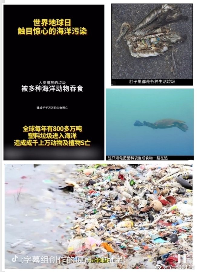 img海洋-1656668940433418c6dbf31bd7572d0ceccce8717e080