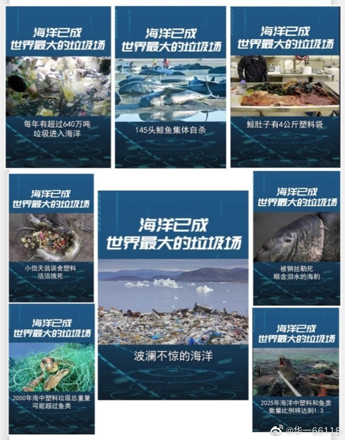 img海洋2-1656668947653b090f7005e5971fbe981c67f9a4d0948